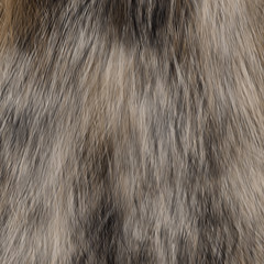Animal fur texture