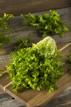 Raw Green Organic Endive Salad