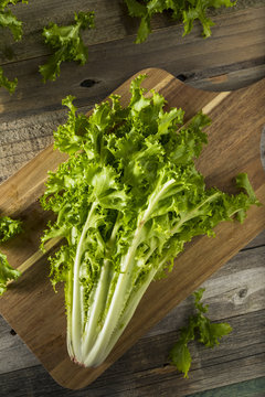 Raw Green Organic Endive Salad