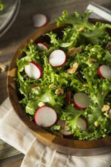 Raw Organic Endive and Radish Salad