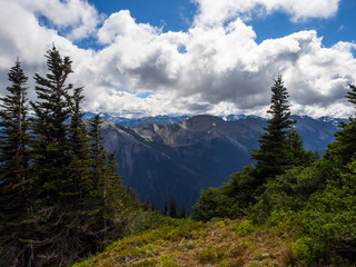Olympic Mountains and Valley