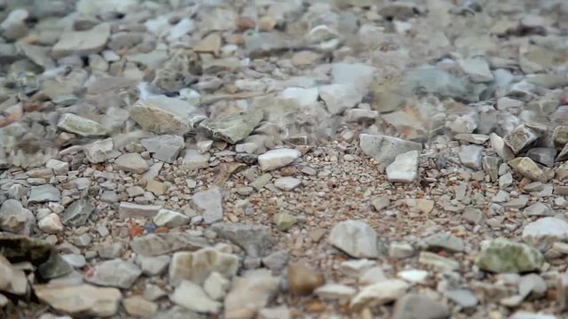 Soft calm waves breaking over rocks on a shoreline. Through clear water are visible stones.  Sea surface and pebble beach. Close up