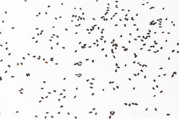 Sesame black seeds seamless pattern isolated on white background