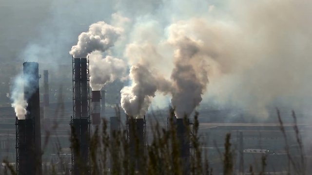 Plants Background of a Large Factory Smoke Pipes