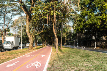 Bike Path in the Streets of Sao Paulo, Brazil (Brasil)