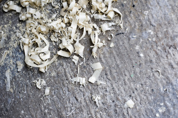 Fresh wood shavings