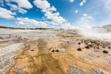 Brown runoff of bacteria algae and small shrubs in Norris Geyser basin with hot springs pools steaming in Yellowstone National Park