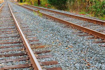 Naklejka premium Railway track beautiful autumn forest bright warm