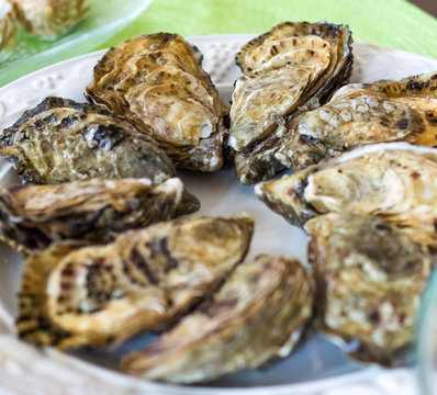 Oysters for sale at the seafood market