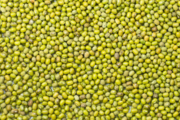 Mung beans background..