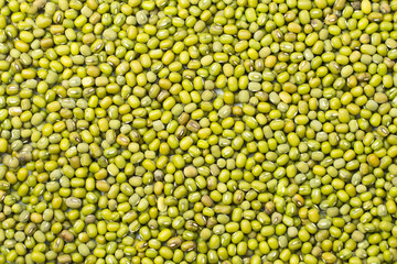 Mung beans background..