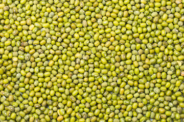 Mung beans background..
