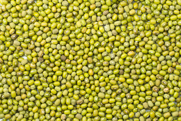 Mung beans background..