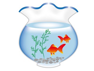 金魚と金魚鉢