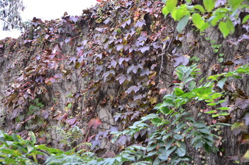 한강 선유도공원