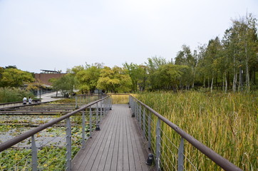 한강 선유도공원