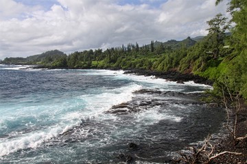 Fototapeta premium Snow Monkey Park, Japan