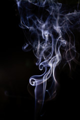Obraz premium White smoke movement on black background.