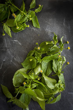 Herbs on slate board