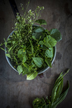 Herbs in colander on wooden table 