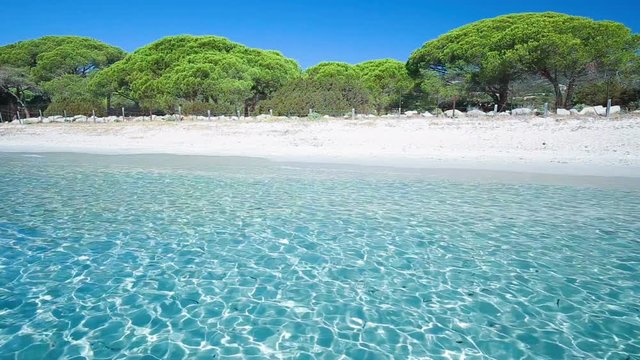 Palomgabbia beach with red rocks, pine trees and azure clear water, Corsica, France.
