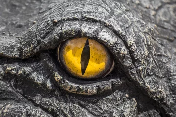 Fotobehang Krokodil Gele ogen van krokodillen.