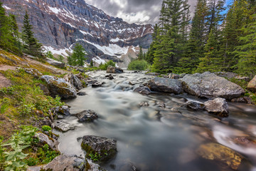 Speeding down to the edge of the precipice