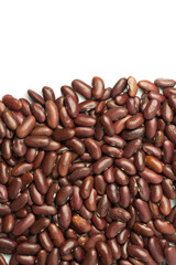 Red bean isolated on white background