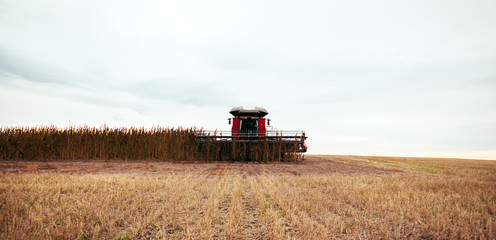 Combine Harvesting Hemp