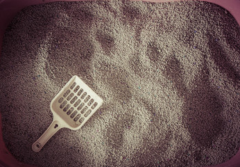 toilet cat Cleaning sand cat  in a litter box vintage fillter