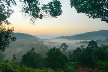 The morning light landscape view at Hala-Bala Wildlife Sanctuary, Narathiwat, Thailand