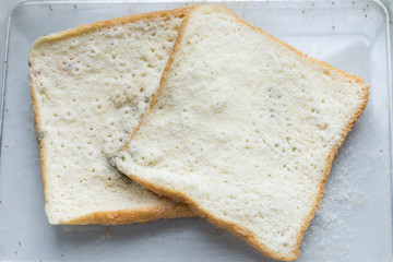 Mold bread Experiment, science laboratory samples