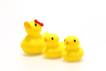 黄色いアヒルのおもちゃ　白背景