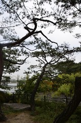 한강 선유도공원