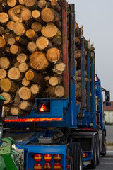 Obraz premium Holztransporter