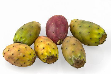 Fruits of Opuntia ficus-indica