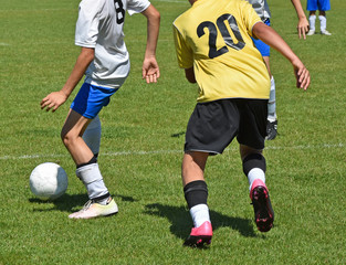 Young soccer players