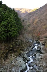 丹沢 早戸川の渓流