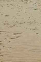 closeup of sand pattern of a beach in the summer