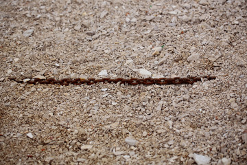 Rusty chain on pebbles