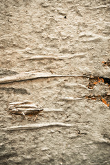 old shabby paper textures - perfect background with space for te