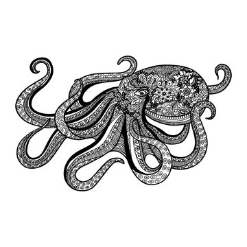 zentangle style octopus hand drawn illustration of sea animal beautiful doodles design vector