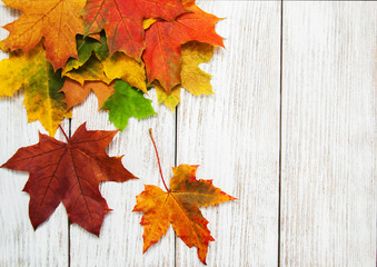 Obraz premium Colorful autumn leaves
