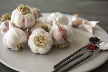 Plate of garlic bulbs and spoons of spices