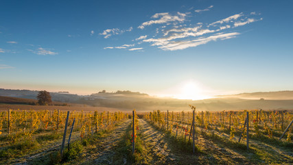 Obraz premium Sonnenaufgang übder dem Weinberg, Südsteiermark im Herbst, Österreich