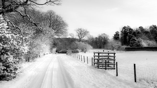 Snowy Country Lane in UK