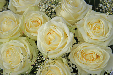 White roses in bridal bouquet