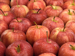 Group of red apples