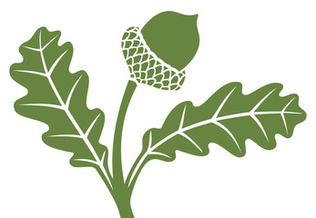 acorn with leaf