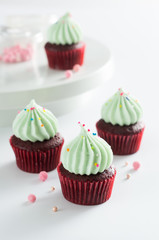 beautiful chocolate cupcakes with green cream